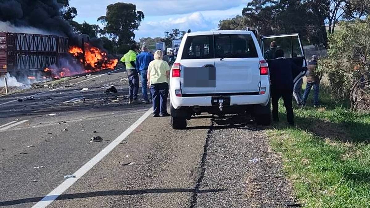 Horror four vehicle highway crash leaves one dead as another is airlifted to hospital