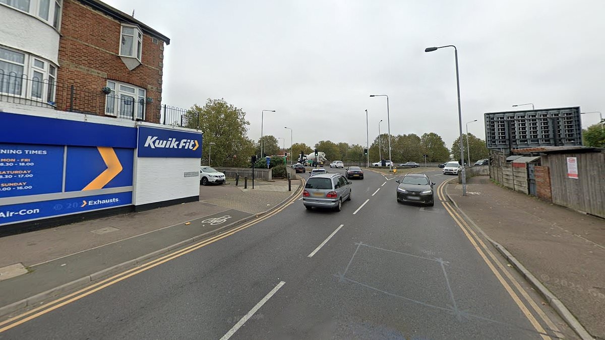 Police launch urgent appeal to find mother and newborn baby after woman gives birth in underpass - before being picked up by men in Transit van