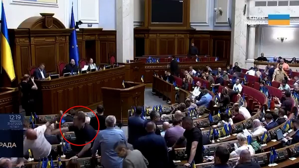 Moment MPs brawl in Ukrainian parliament during vote on Zelensky's new anti-corruption bill after his reform plans sparked mass protests