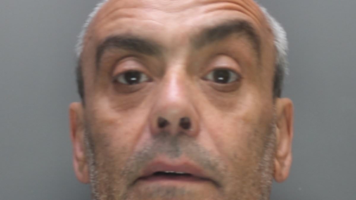 How Britain's most upmarket cocaine ring was smashed: Wealthy clients, drugs of 'mind-blowing' quality, impeccable service... all run by a mild-mannered antiques dealer