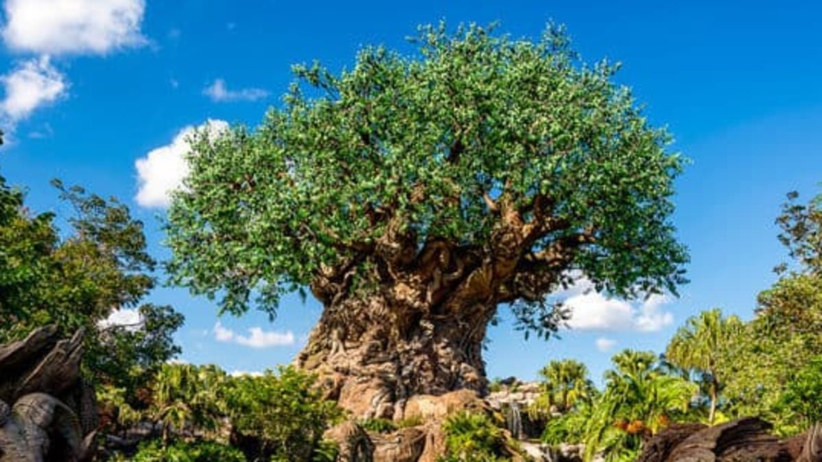 Disney World files permit to change legendary attraction that has stood in the Orlando theme park for 27 years