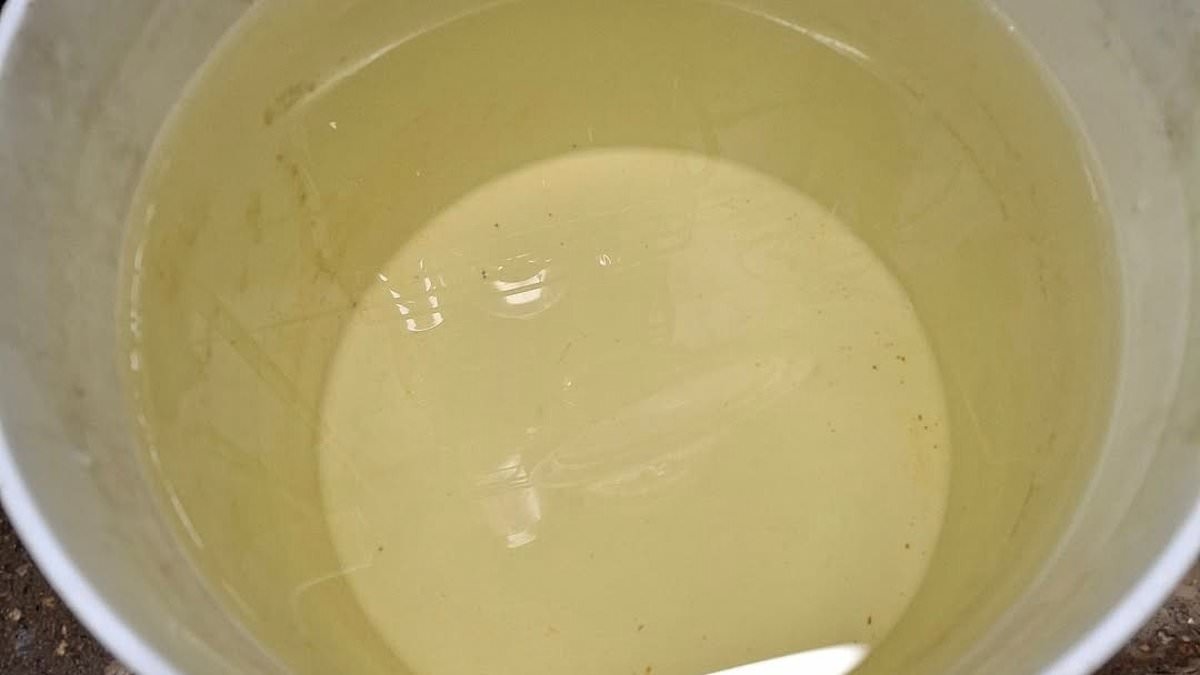 Residents of tiny cities are raging as they're told to drink tap water that smells of mold and looks like pee