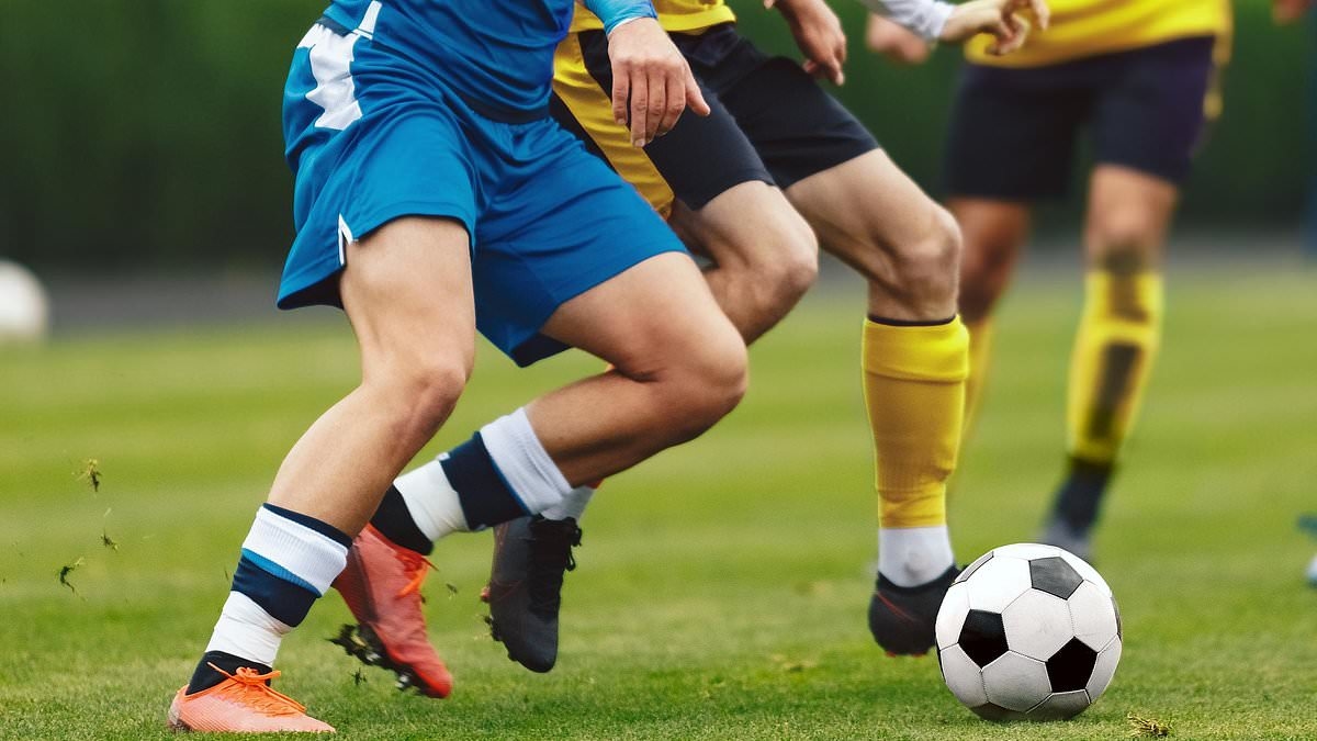Soccer club WITHDRAWS multiple teams for remainder of the season after frequent on-field brawls - 'loss of confidence from the community'