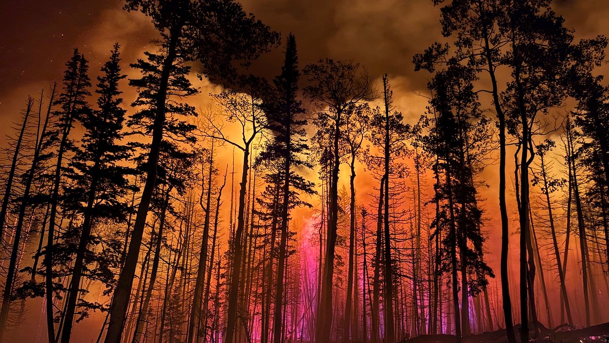 Utah governor declares state of emergency as wildfires rapidly spread across thousands of acres