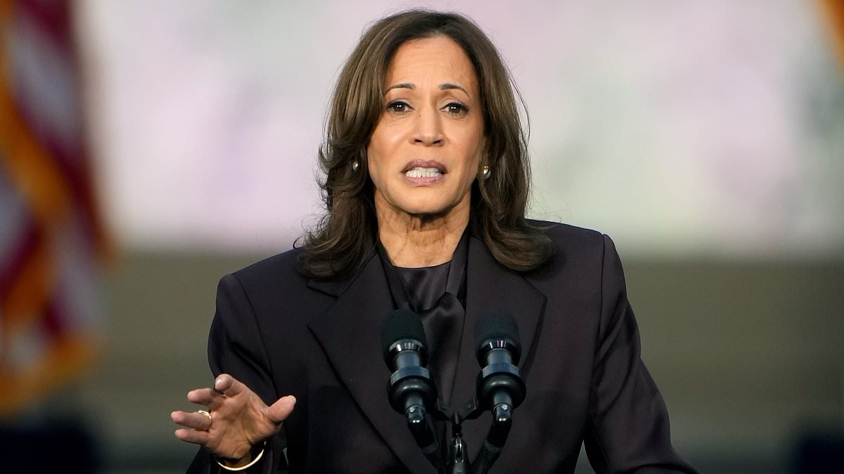 Dejected Kamala Harris says she's not seeking presidency and blames 'broken system' for putting her off running again