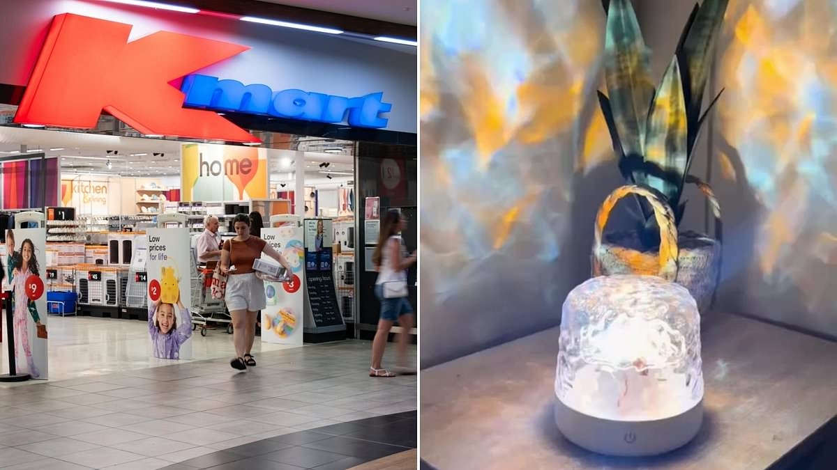A new $20 buy from Kmart calmed my frantic, stressed mind in seconds
