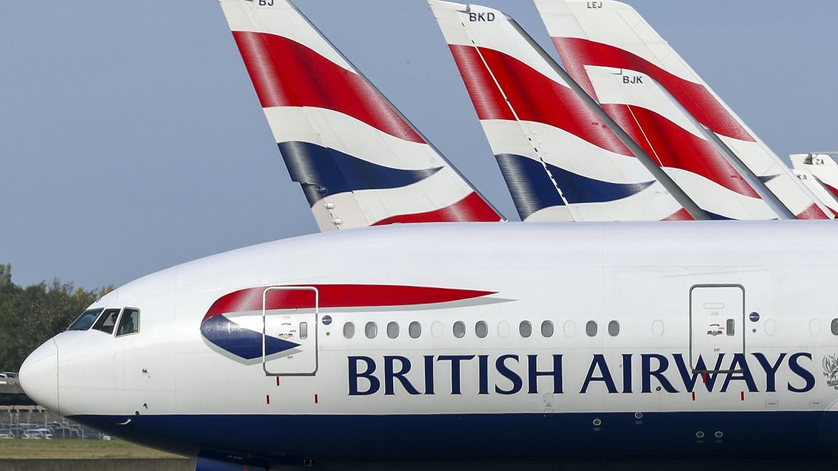 BA owner says US demand remains strong despite economy sales dip