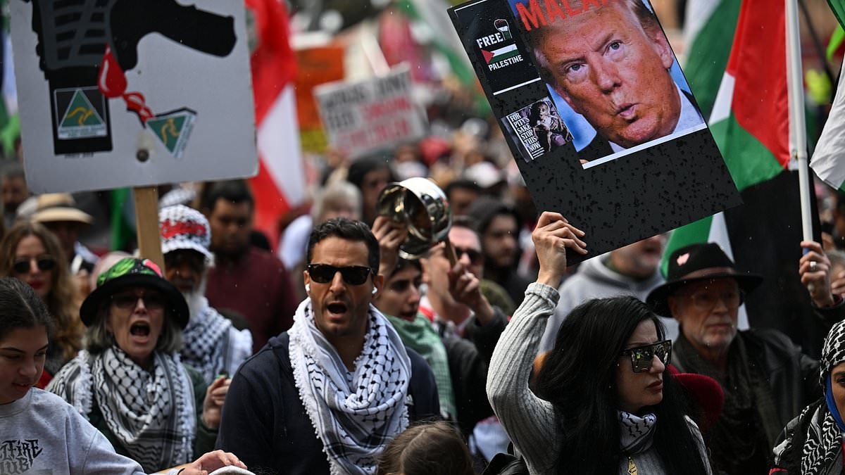 Major update in Sydney Harbour Bridge protest battle as police reveal why they're so against pro-Palestine march