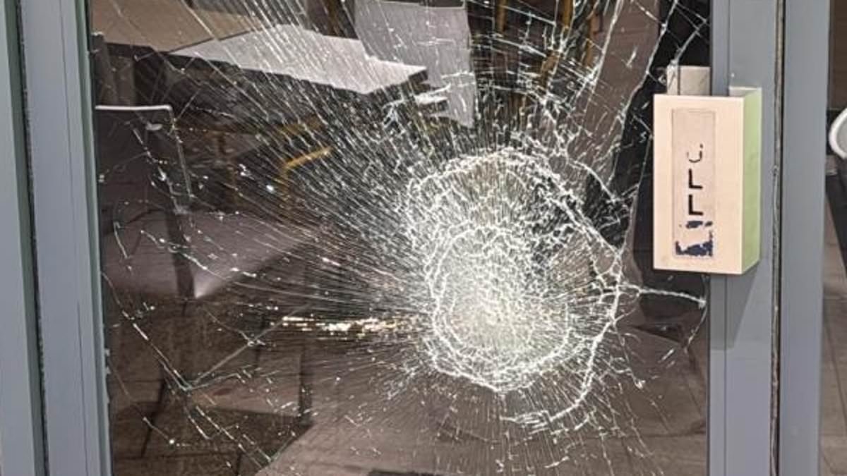 Racist teen girl gang turn high street into a 'warzone' as they raid shops and smash windows before gloating 'police are never going to help you' at terrified staff