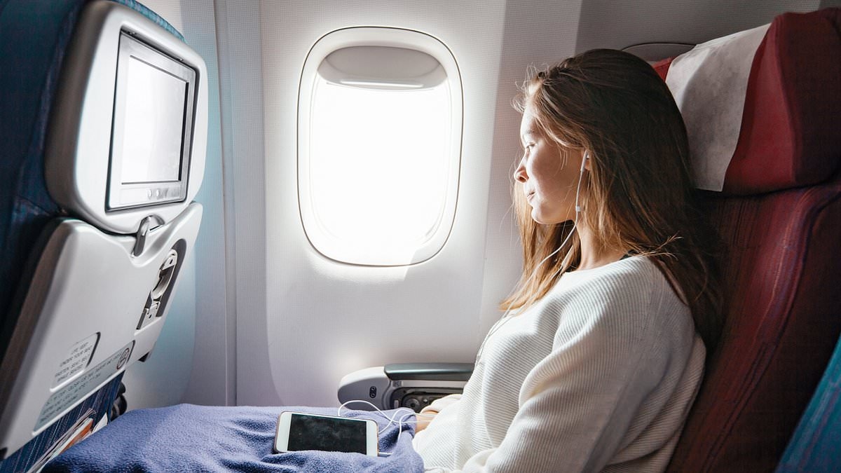 Travel expert warns holidaymakers to NEVER use common plane freebie
