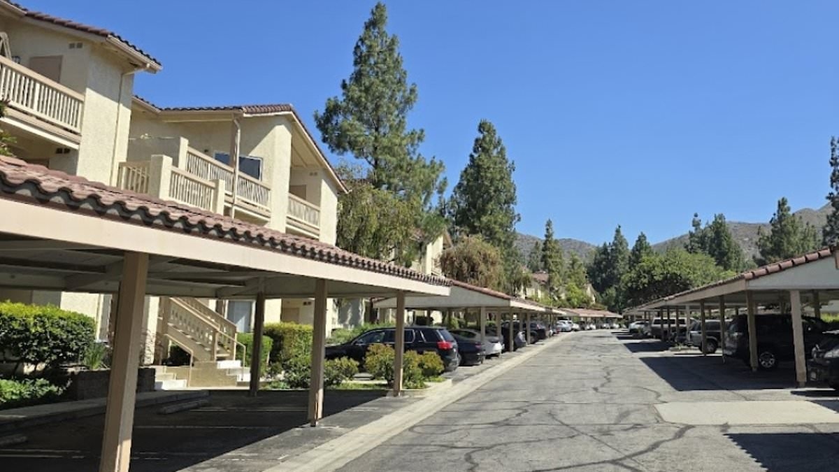 Homeowner slapped with massive fine from spying HOA for fixing door INSIDE her property