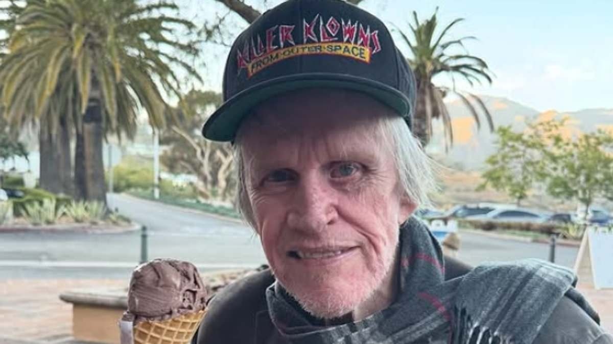 Gary Busey, 81, pleads guilty to sex crimes charge after groping woman during horror movie convention