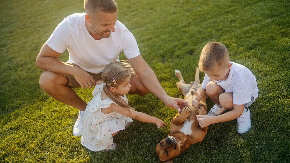 Warnings issued after two people contract brain-eating parasite found in pet dogs
