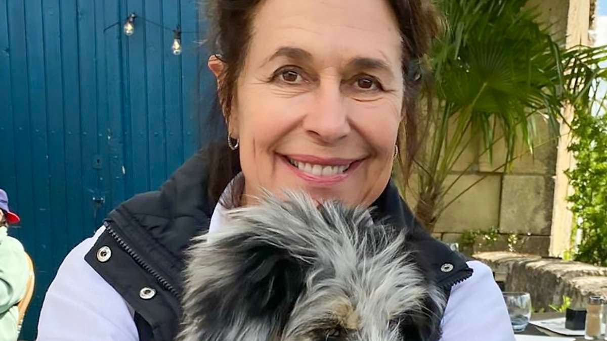Was a hitman hired to kill Dordogne expat? Days before Karen Carter's brutal stabbing a mysterious man was seen outside her house. Now locals believe her murder could be the work of an assassin