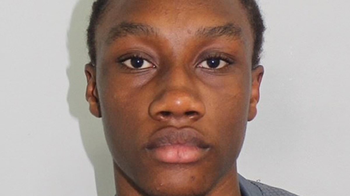 Notting Hill carnival machete attacker jailed for 18 years for attempted murder after he launched himself at teenager and slashed open his stomach