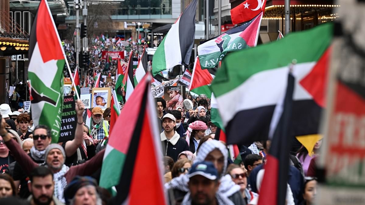 Sydney Harbour Bridge march: Pro-Palestine protesters given the green light to shut down landmark
