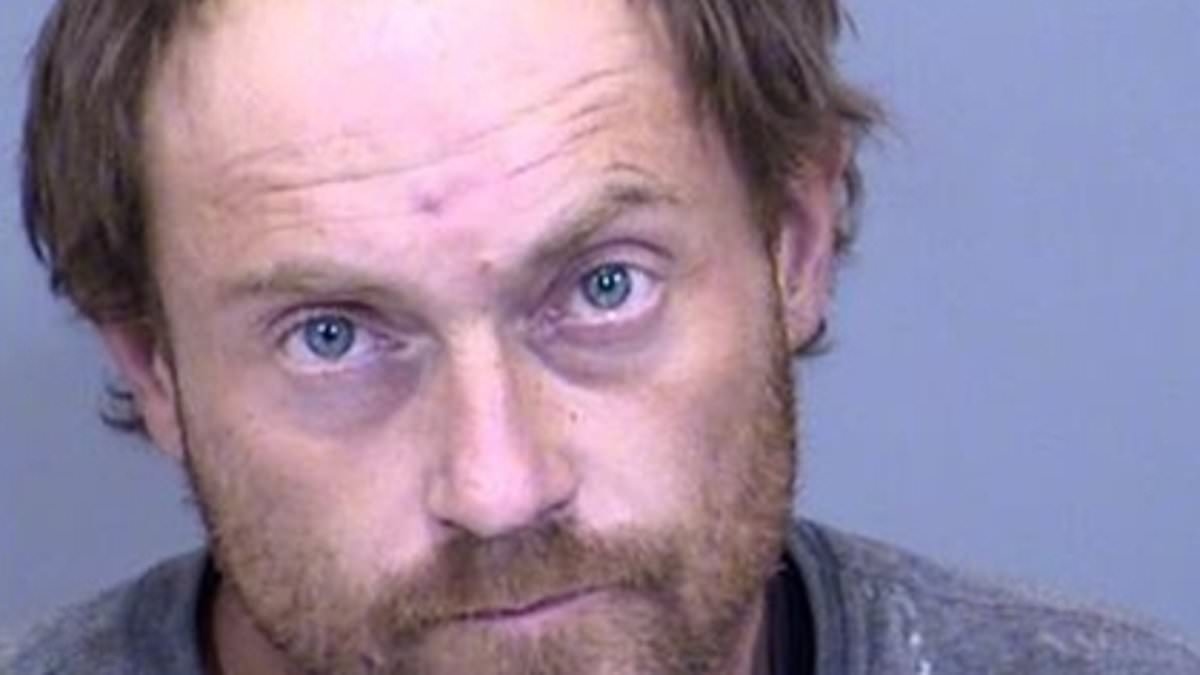 Man who 'kidnapped girlfriend, shackled her in shed and sexually abused her for two weeks' RELEASED from jail