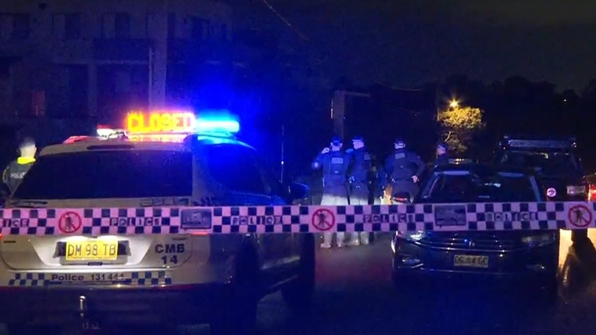 Man charged with murder after woman found stabbed inside her home, while another man fights for his life after stabbing in an airbnb