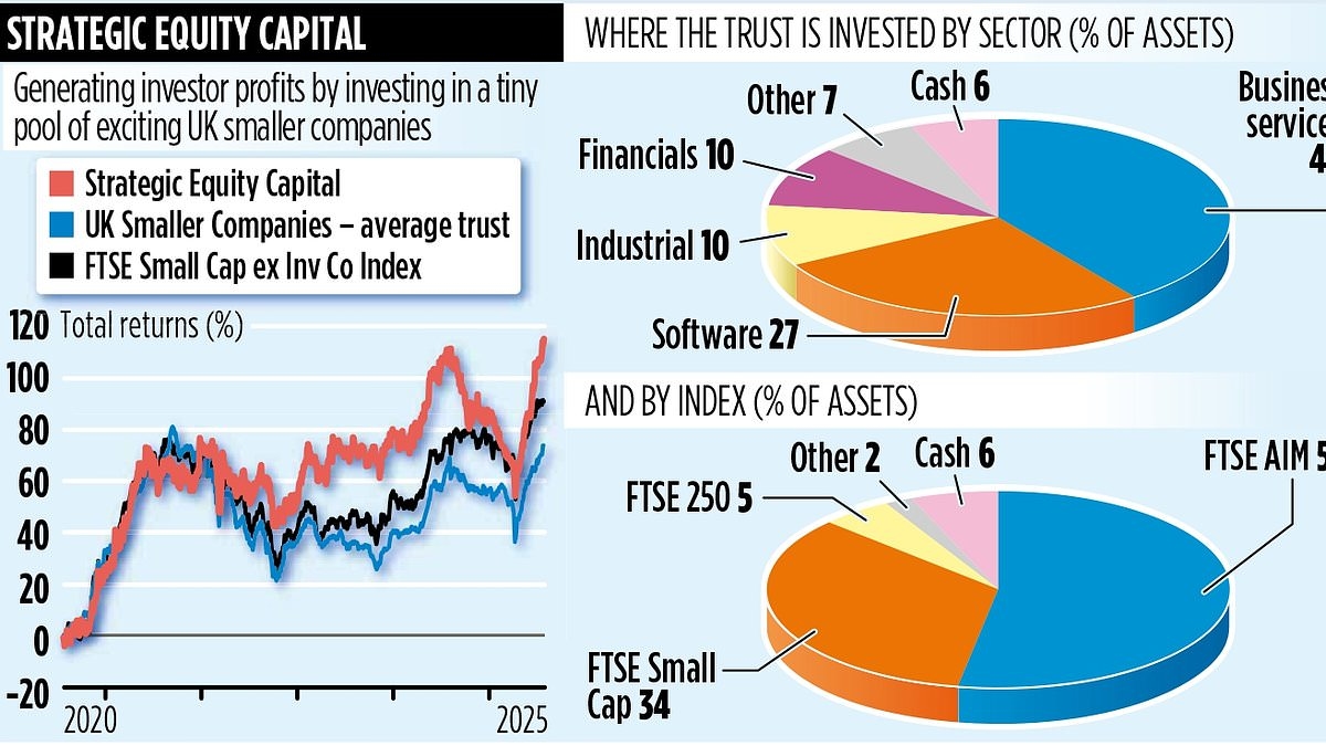 STRATEGIC EQUITY CAPITAL: Giving small UK firms the muscle to take on the big boys