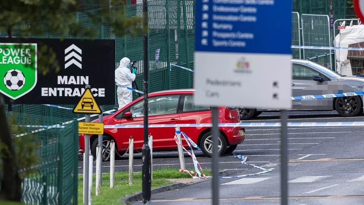 Knife attacker is on the run after teenager, 19, is stabbed to death in Powerleague football car park