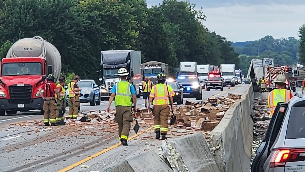 People in a frenzy over car crash - look closer and you'll see why they say it's the 'wurst' accident ever