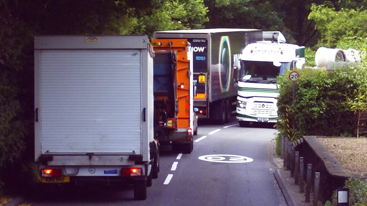 Village of the jammed! Families in beauty spot where lorries get blocked on tight roads says they are why £8million of repairs are now needed