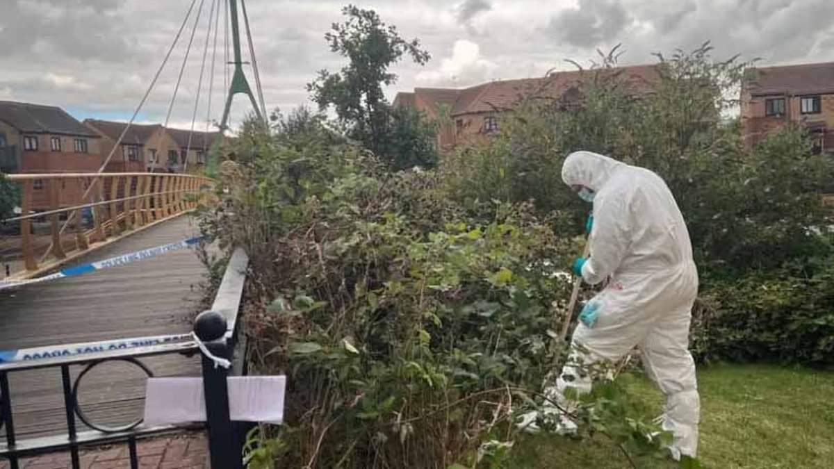 Massive manhunt launched after murdered man is found dead on riverside bench as extra police patrols are deployed to find his killer