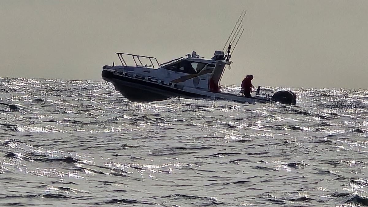 Mystery as plane vanishes above ocean between Australia and Tasmania - as desperate search continues for pilot and female passenger