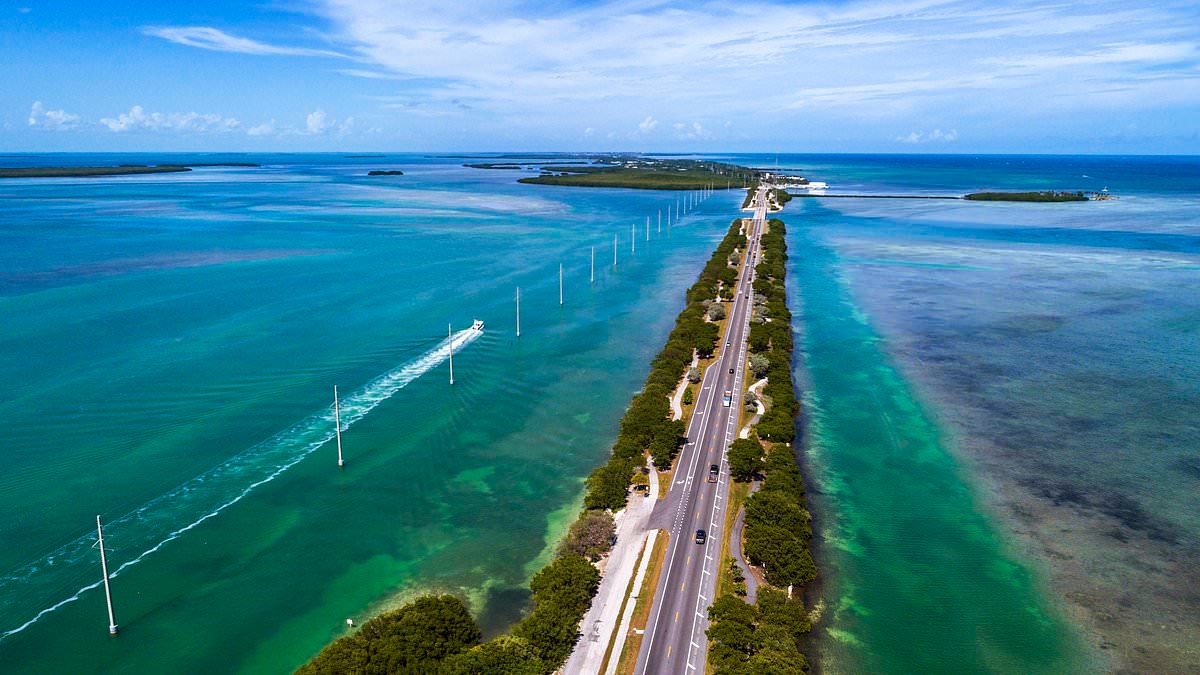 Florida man makes shock move after finding 50 pounds of cocaine in the ocean