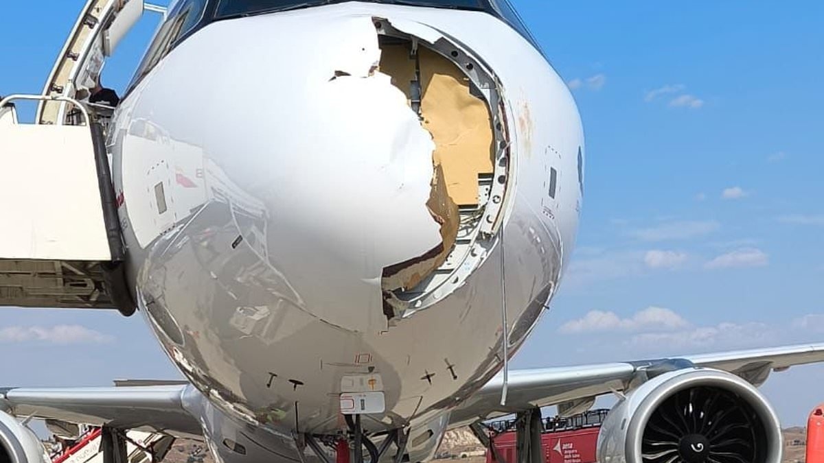 Terrifying pictures show huge damage to front of Airbus which was hit by a bird strike after taking off from Spanish airport