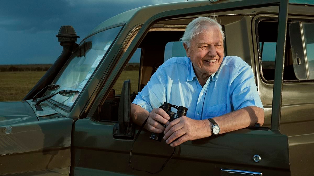 David Attenborough fans gush over 'stunning' new 'Parenthood' series which sees 99-year-old naturalist explore the lives of animal parents