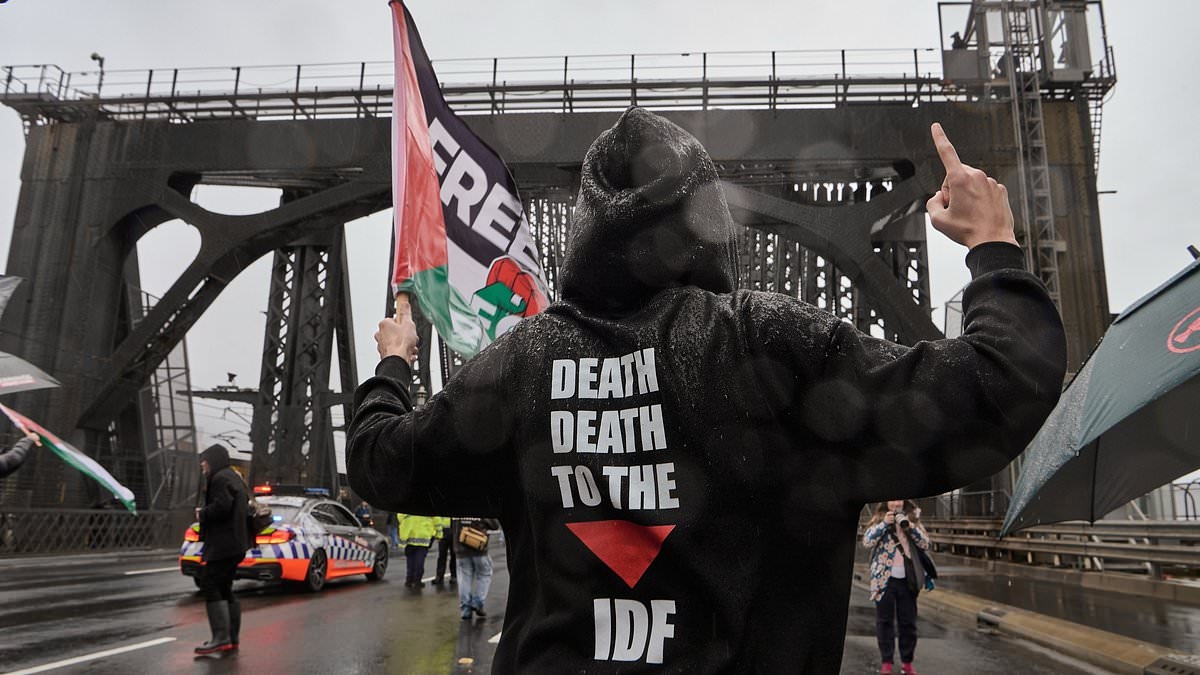 The shocking signs and flags at the Harbour Bridge protest - amid warning it could set a new legal precedent