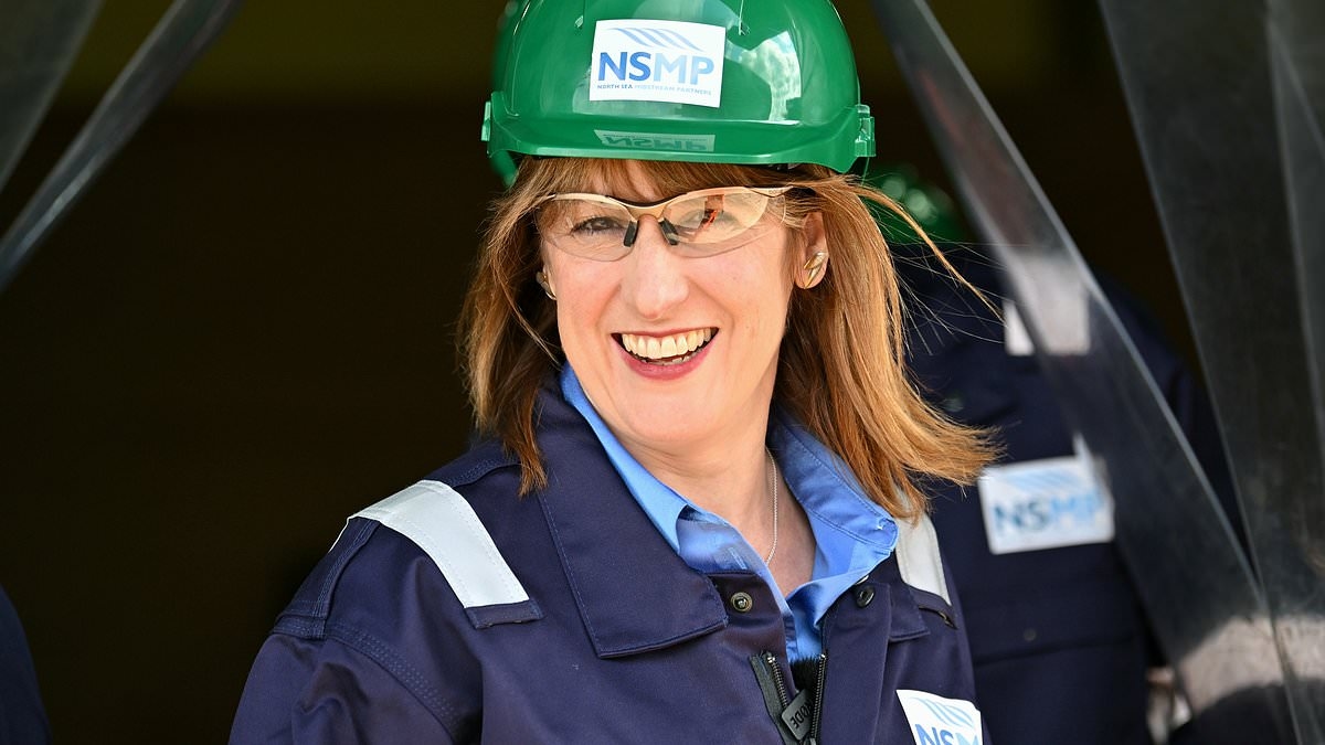 Now Rachel Reeves is urged to slap VAT on private healthcare as ex-Labour leader Neil Kinnock sets out plans to raise billions more for the NHS