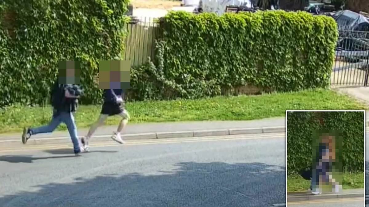 Teens who tortured kittens to 'reduce urge to hurt humans' are jailed