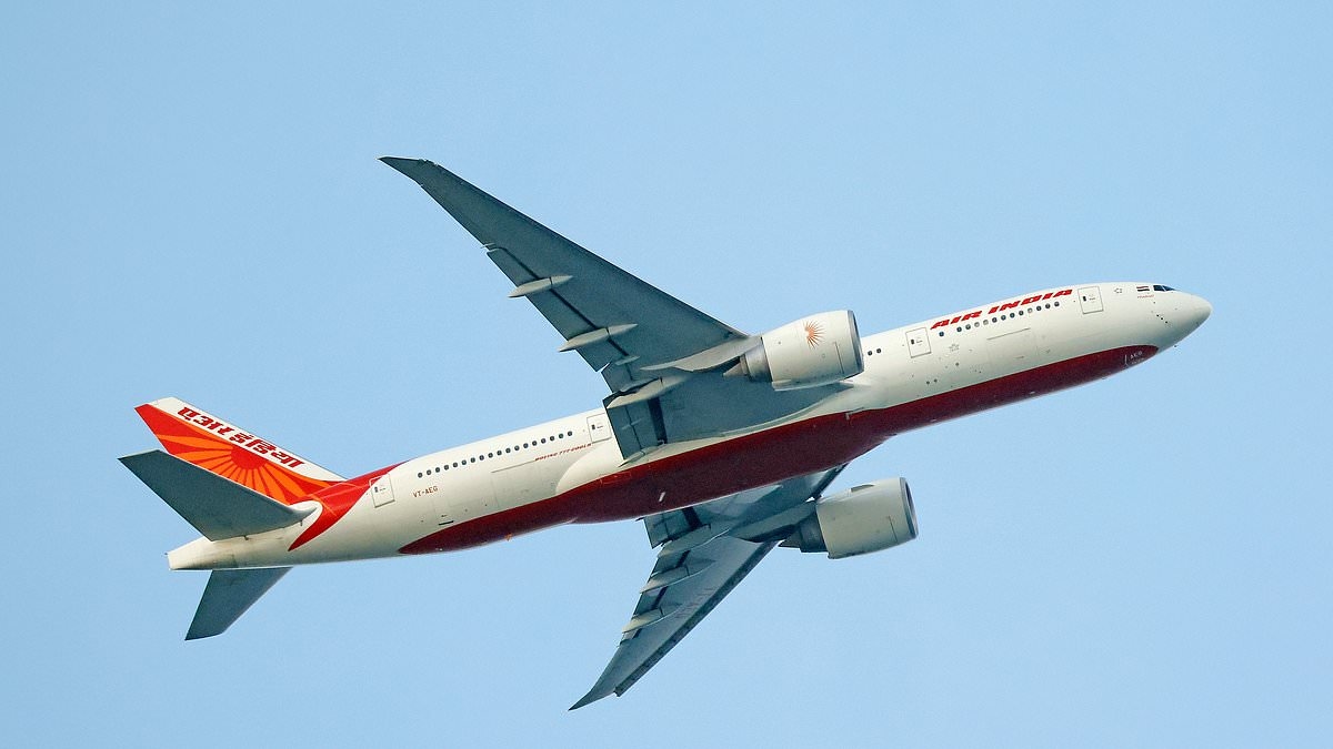 Terror aboard Air India jet from San Francisco after COCKROACHES were spotted scuttling in the cabin