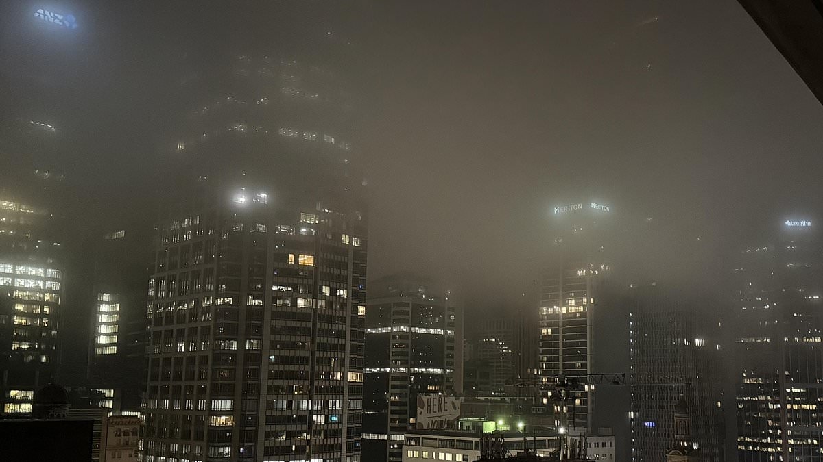 Sydney Airport plunges into chaos as thick blanket of fog covers the city