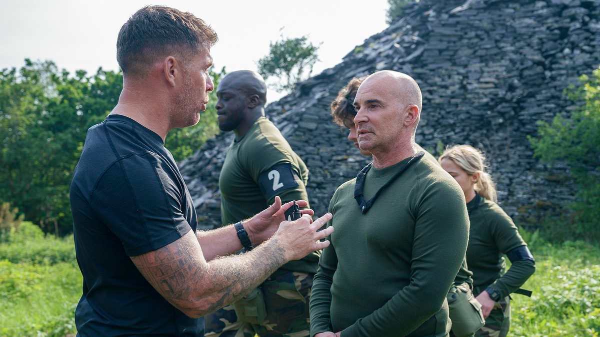 CHRISTOPHER STEVENS reviews Celebrity SAS: Who Dares Wins... and says Dad's Army's Private Godfrey could have done better than these recruits