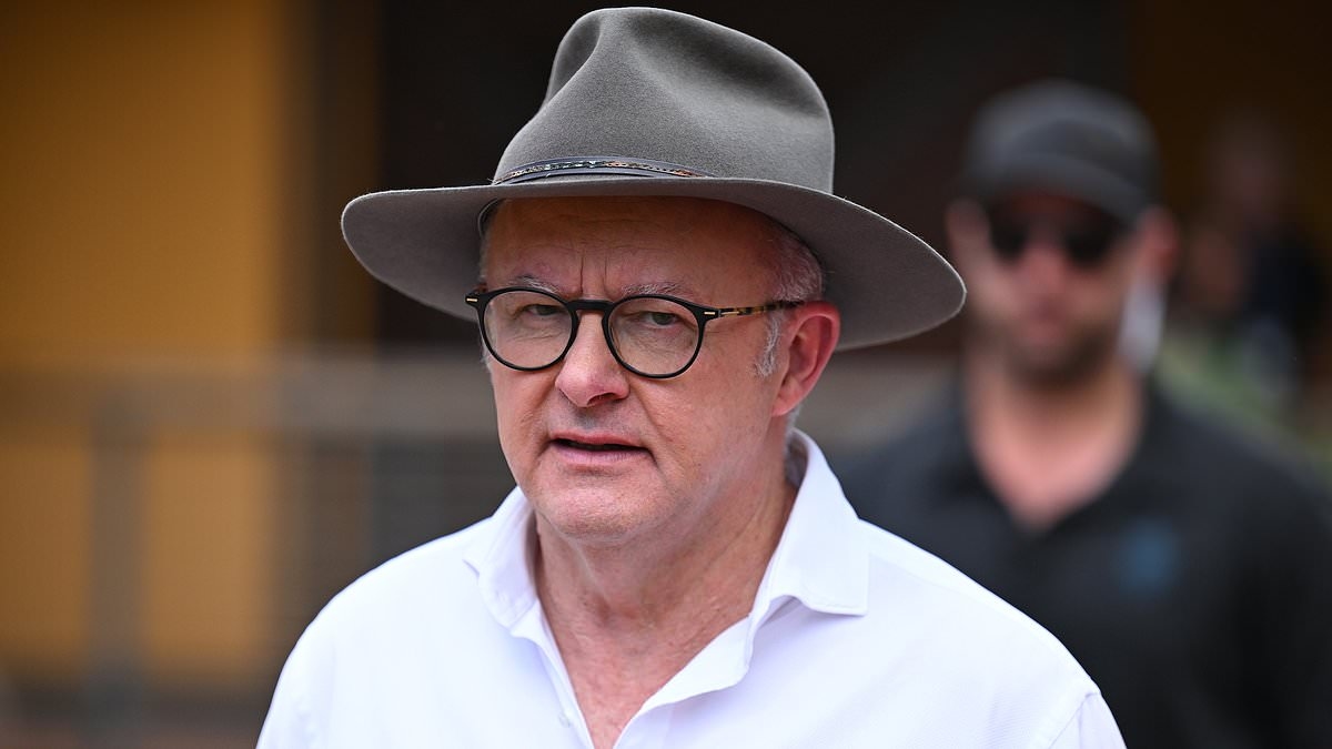 Anthony Albanese to increase the number of migrants in Australia - as critics issue an urgent warning