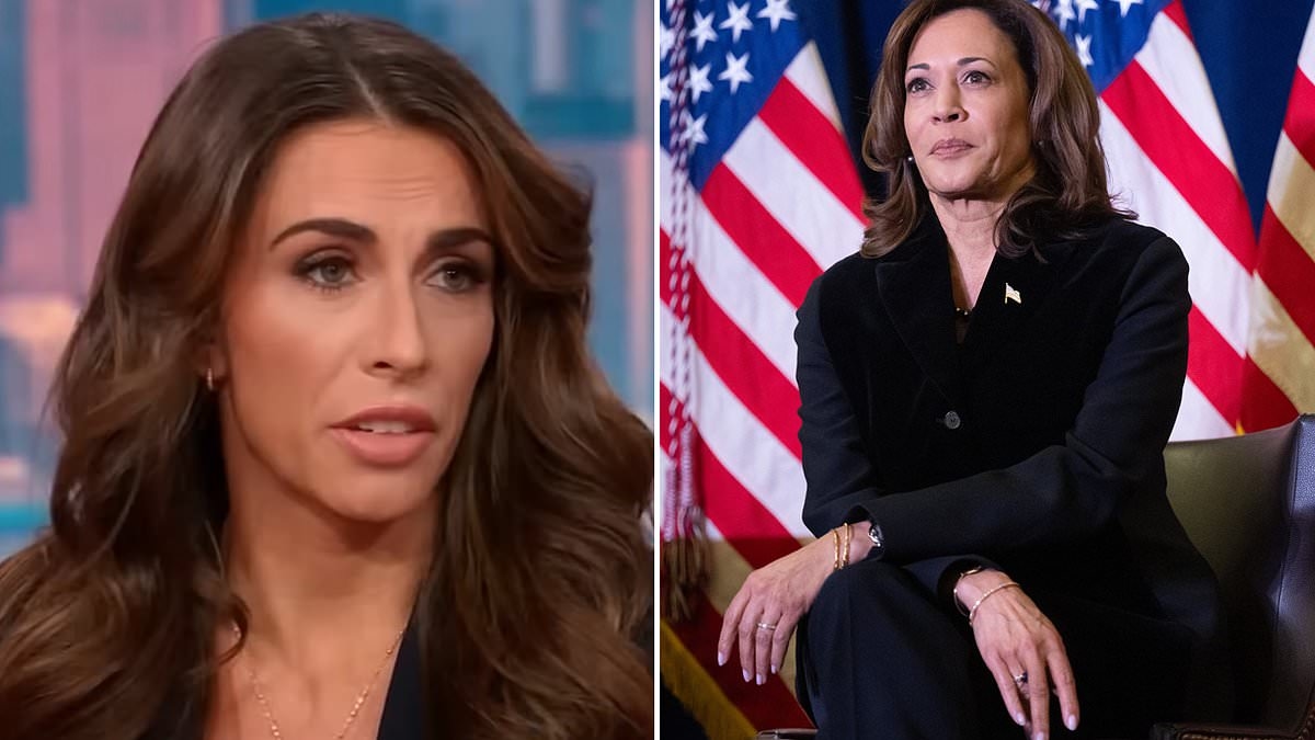 The View co-host blasts Kamala Harris as 'microcosm of everything that's wrong' with Democratic Party