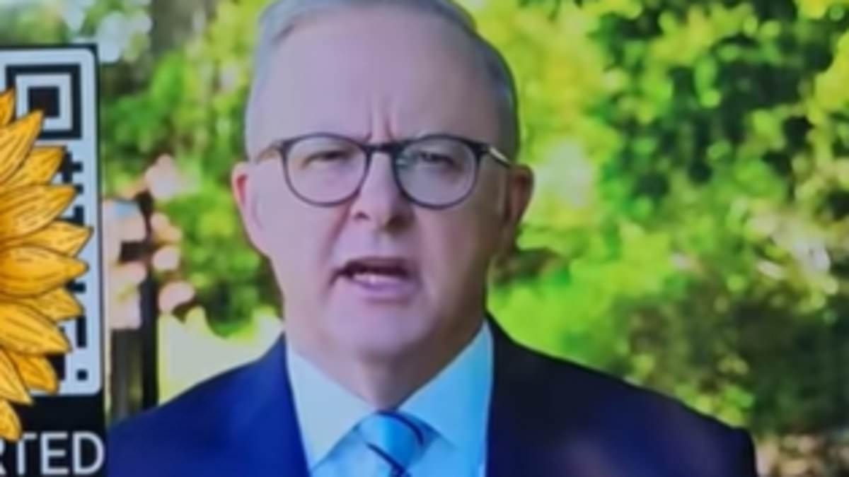 AI Albo: Prime Minister promises 'financial freedom' in deepfake video