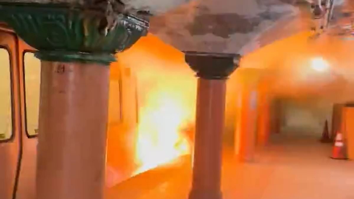 Terrifying moment panicked passengers flee subway after fire breaks out on train