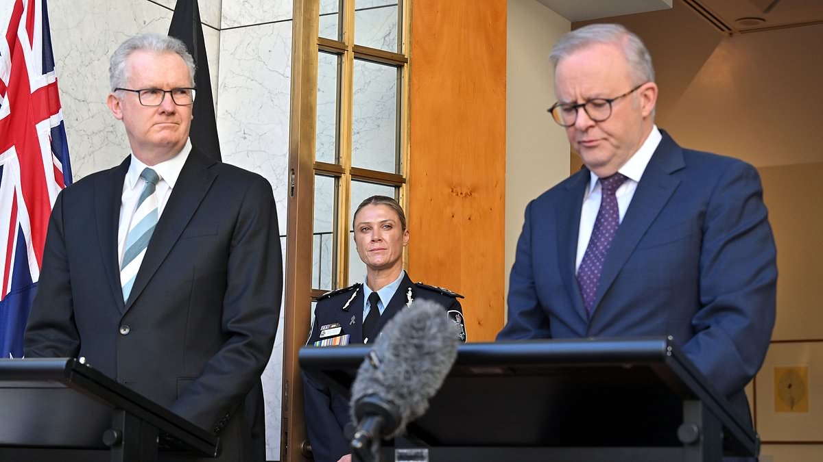 Albanese government aims to halve migrant intake with new strategy