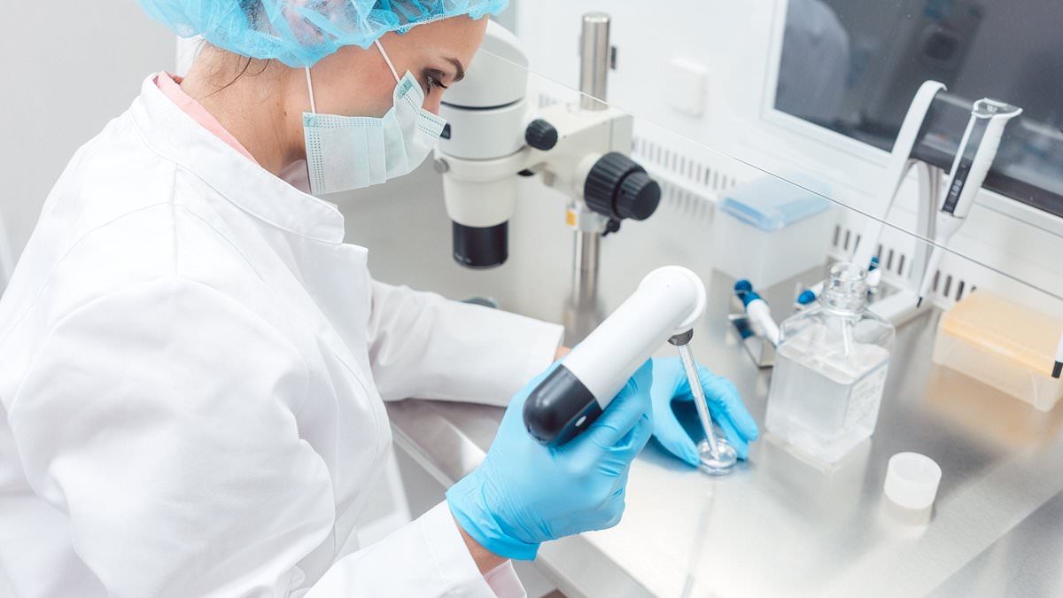Spectris agrees £4.8bn takeover offer as KKR outbids private equity rival