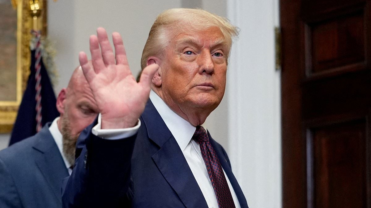 CNN expert praises president Trump's use of tariffs
