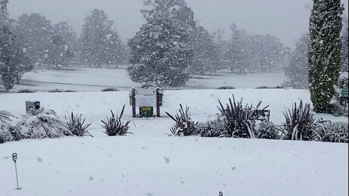Australia is hit by its biggest snowfall for decades with wild weather bringing 20 inches of snow in some areas