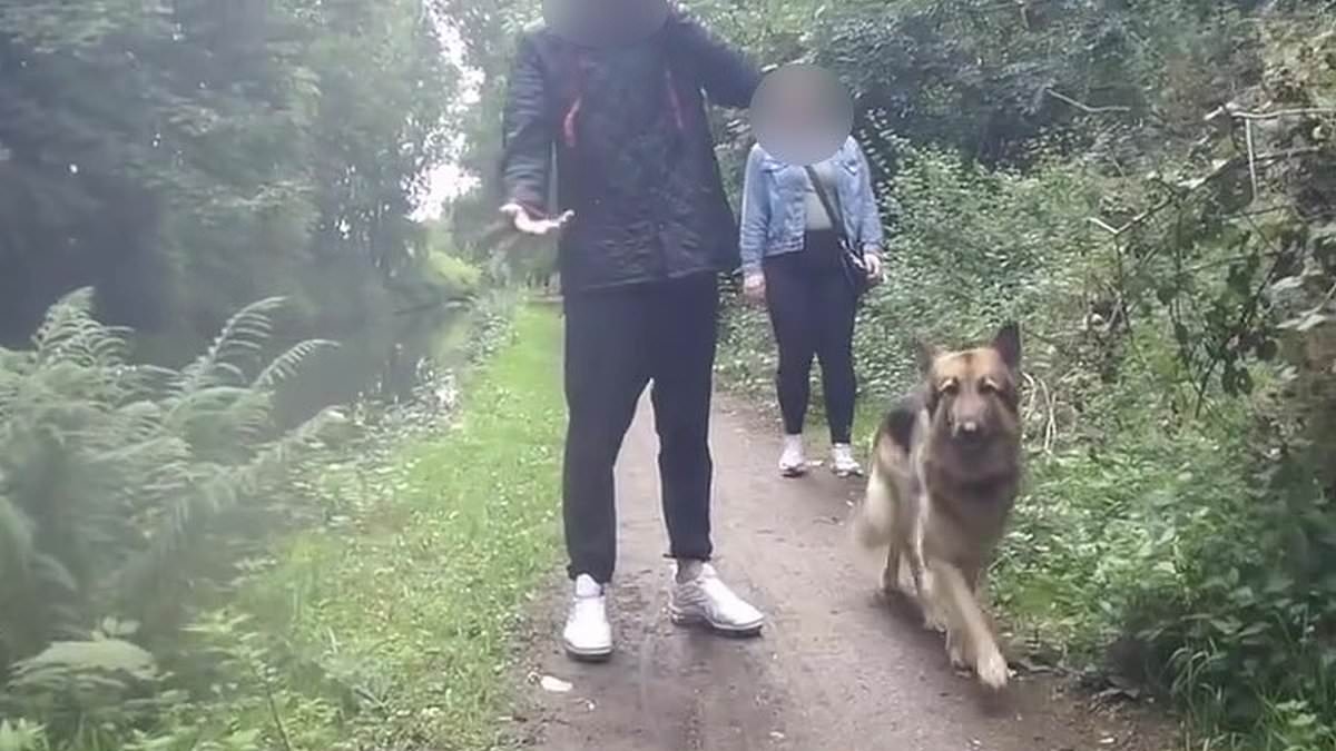 Moment cyclist is pushed into canal by furious dog walker in row over 'slowing down' - but who do you think was in the right?