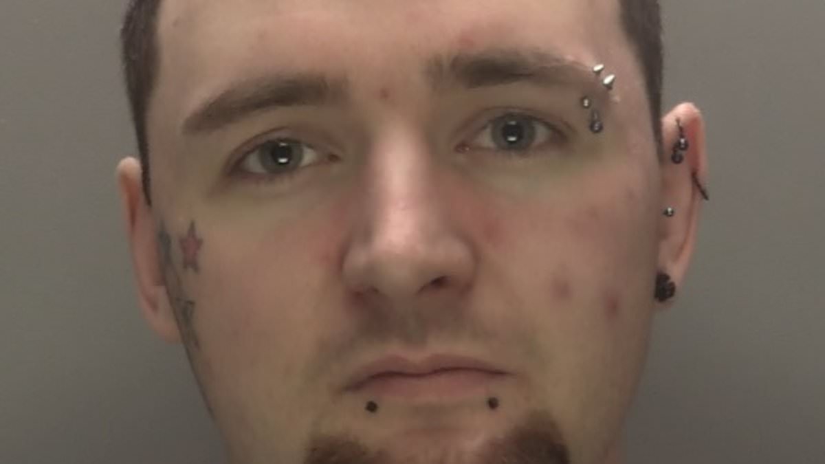 Thug who tried to claim he had sexsomnia when he raped woman in vicious campaign of abuse is jailed for 11 years