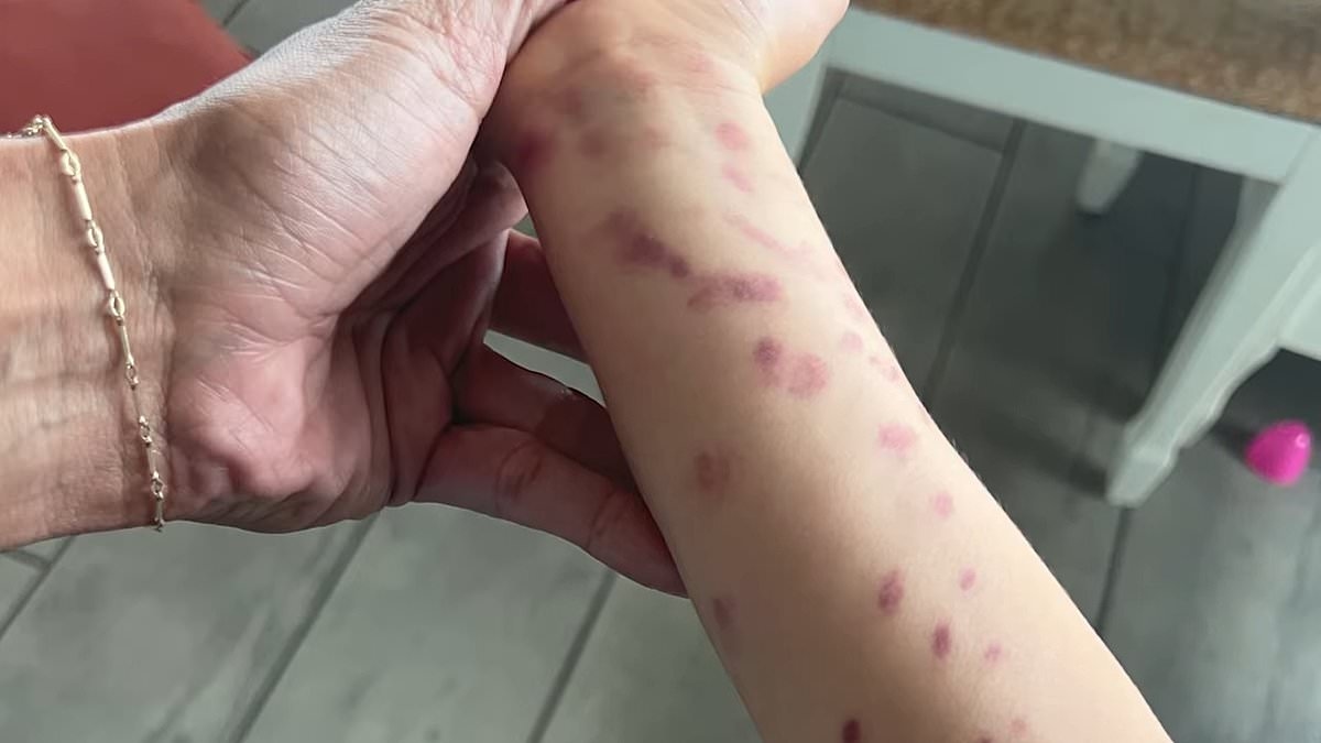 Mother outraged after Texas zoo blames her for octopus attack on little boy after he stuck his hand into its tank