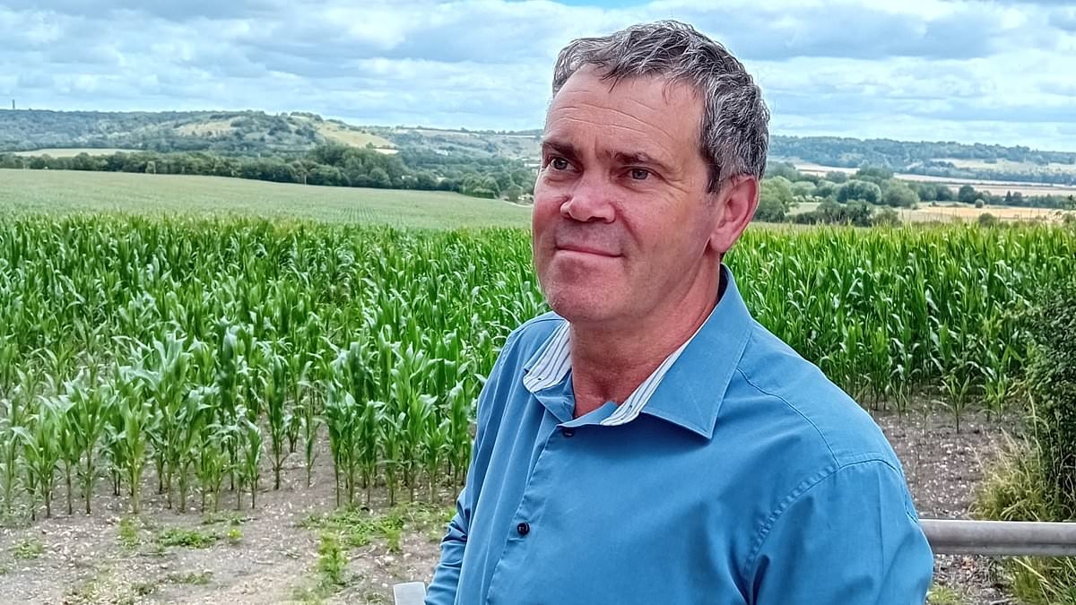 Locals' fury over plans to build huge solar farm on idyllic countryside made famous by The Vicar of Dibley
