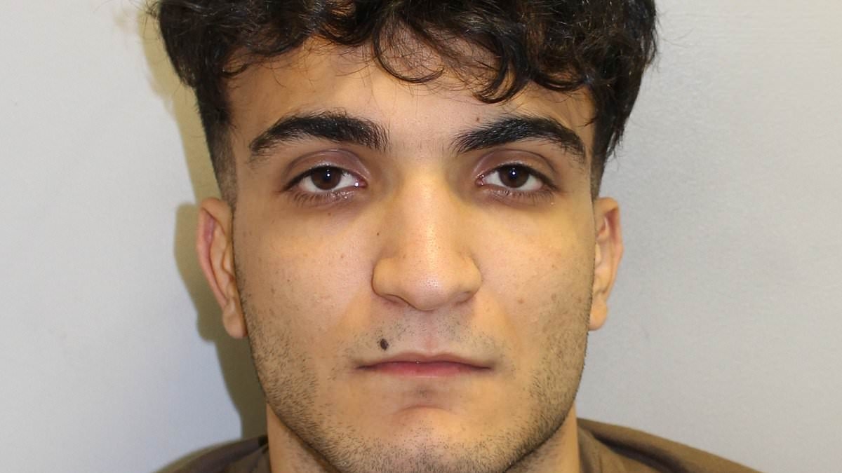 Iranian man who raped girl, 13, in an alleyway is jailed for just SEVEN years - because the judge didn't think he was a 'dangerous person'